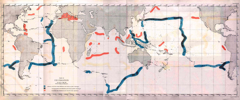 Map of Challenger Expedition Radiolarian Occurrence by Ernst Haeckel