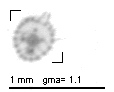 m138c_1_406