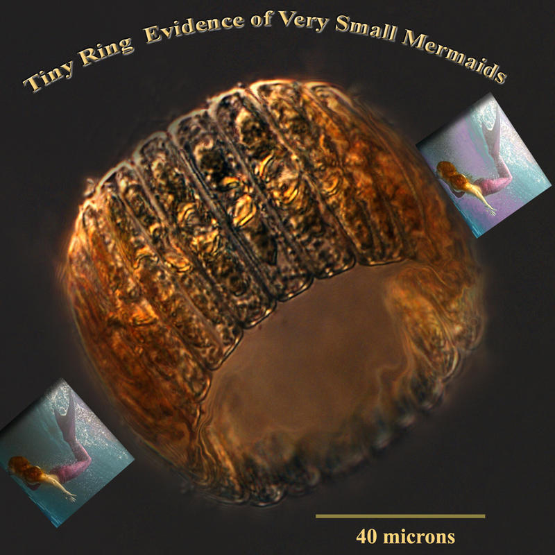 Tiny Mermaid Ring