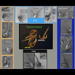 Ceratium ranipes Morphological Cycle