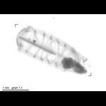 rg20140716_tot_1_621