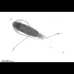 wp220140716_d1_1_54