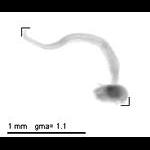 wp220140716_d2_1_1127