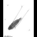 wp220141105_d1_1_287