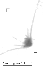 rg20141217_tot_1_461
