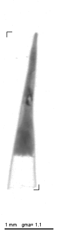 rg20141217_tot_1_438