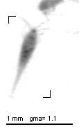 wp220150318_d1_1_483