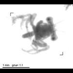 rg20150603_tot_1_297