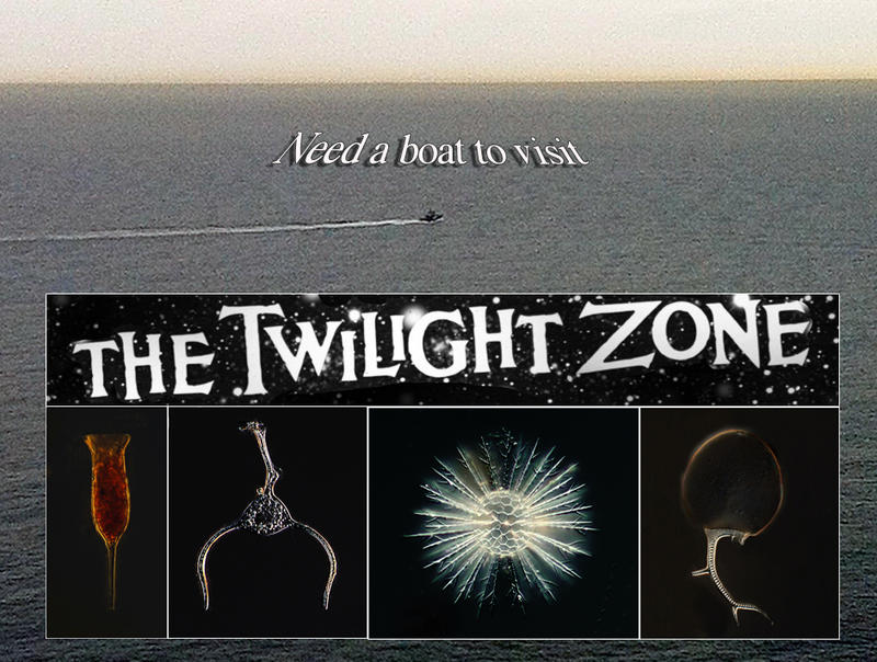 TwilightZoneSagittaFromMetterlinck