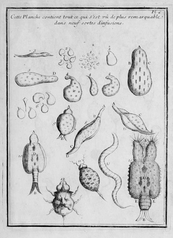 From Joblot 1718