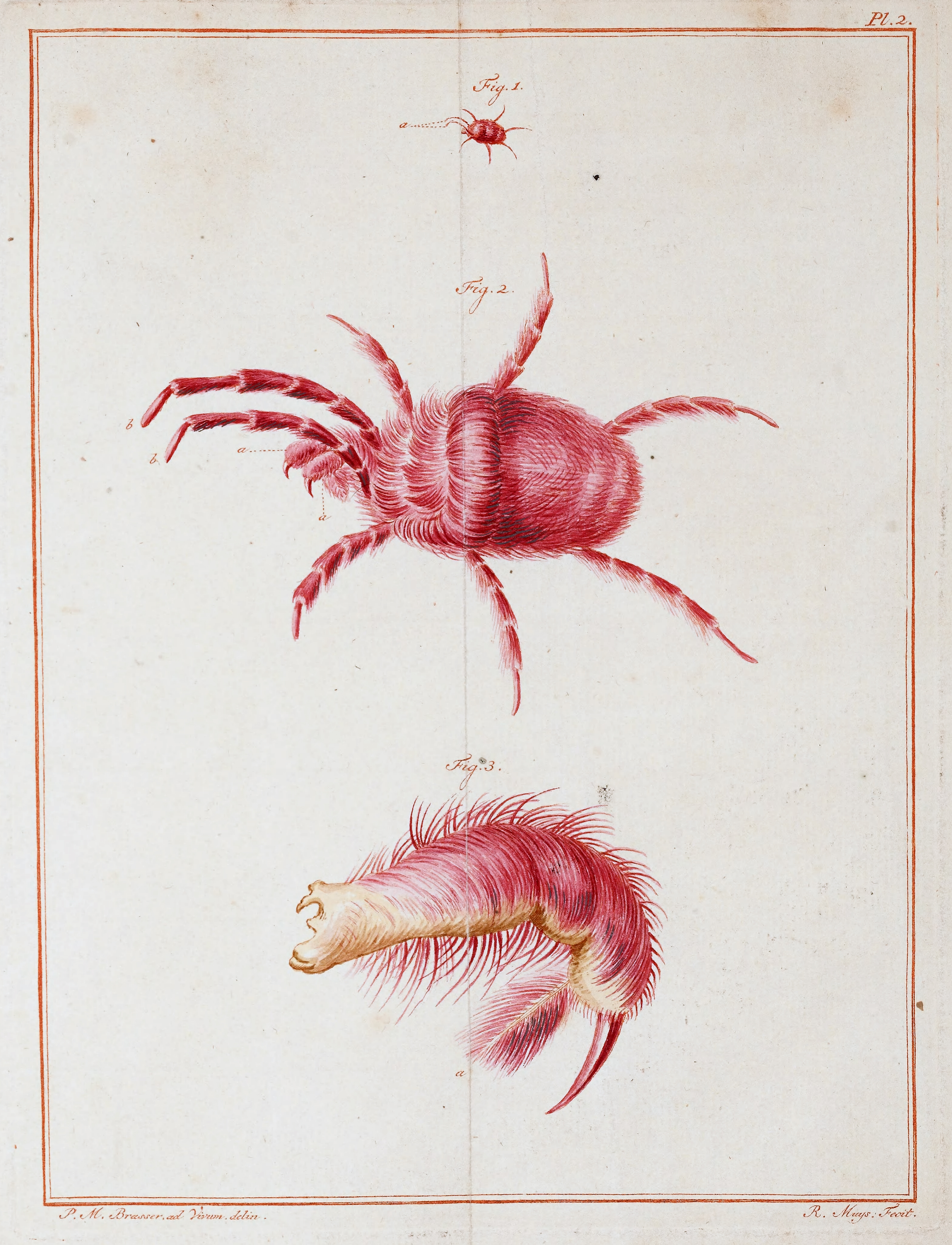 Slabber 1778 Plate 2