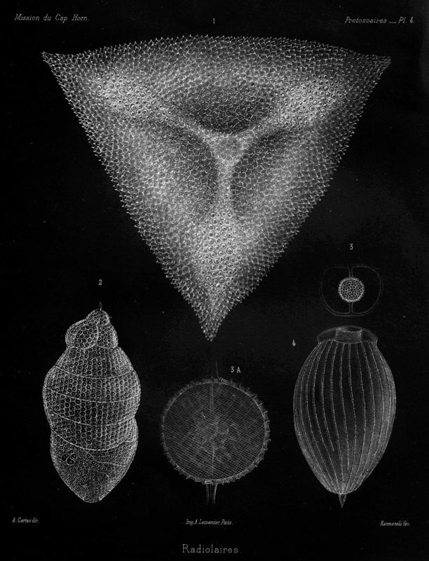 Negative version of 1899 Certes Plate 4.