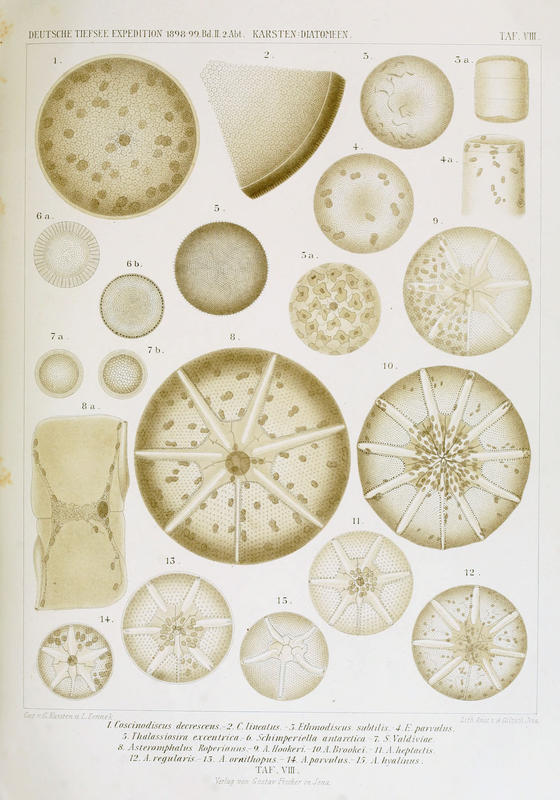 wissenschaftlich22chun_0175