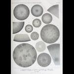 wissenschaftlich22chun_0695