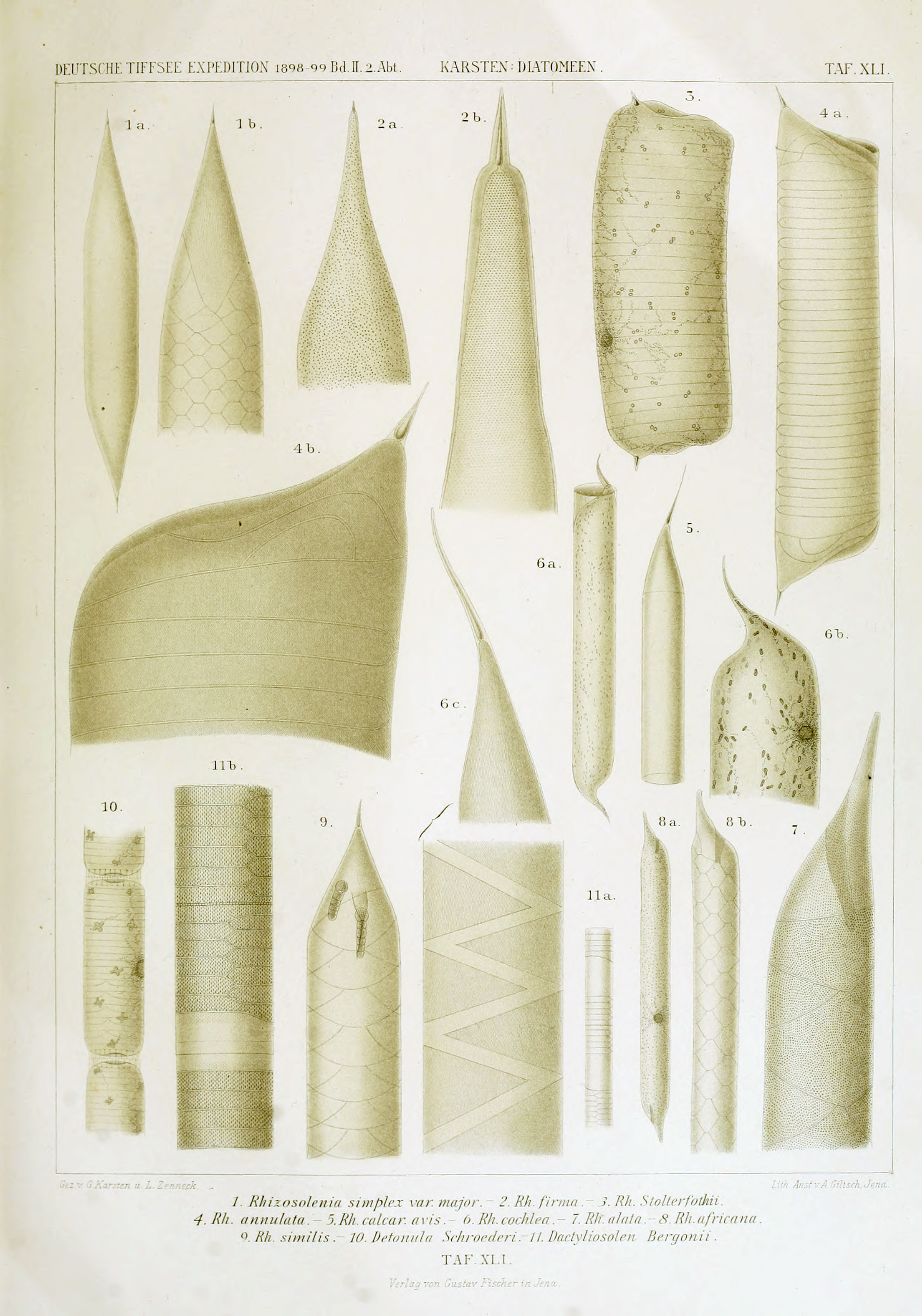 wissenschaftlich22chun_0719