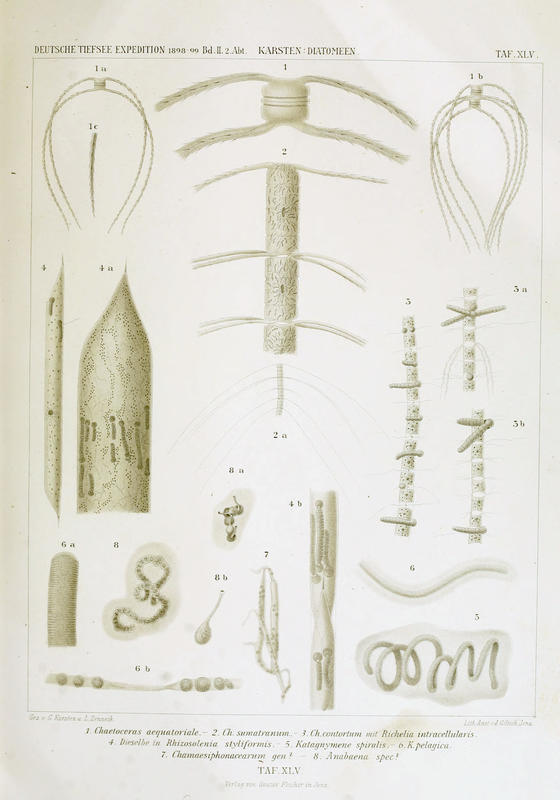 wissenschaftlich22chun_0733