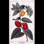 histoirenaturell02riss_0523