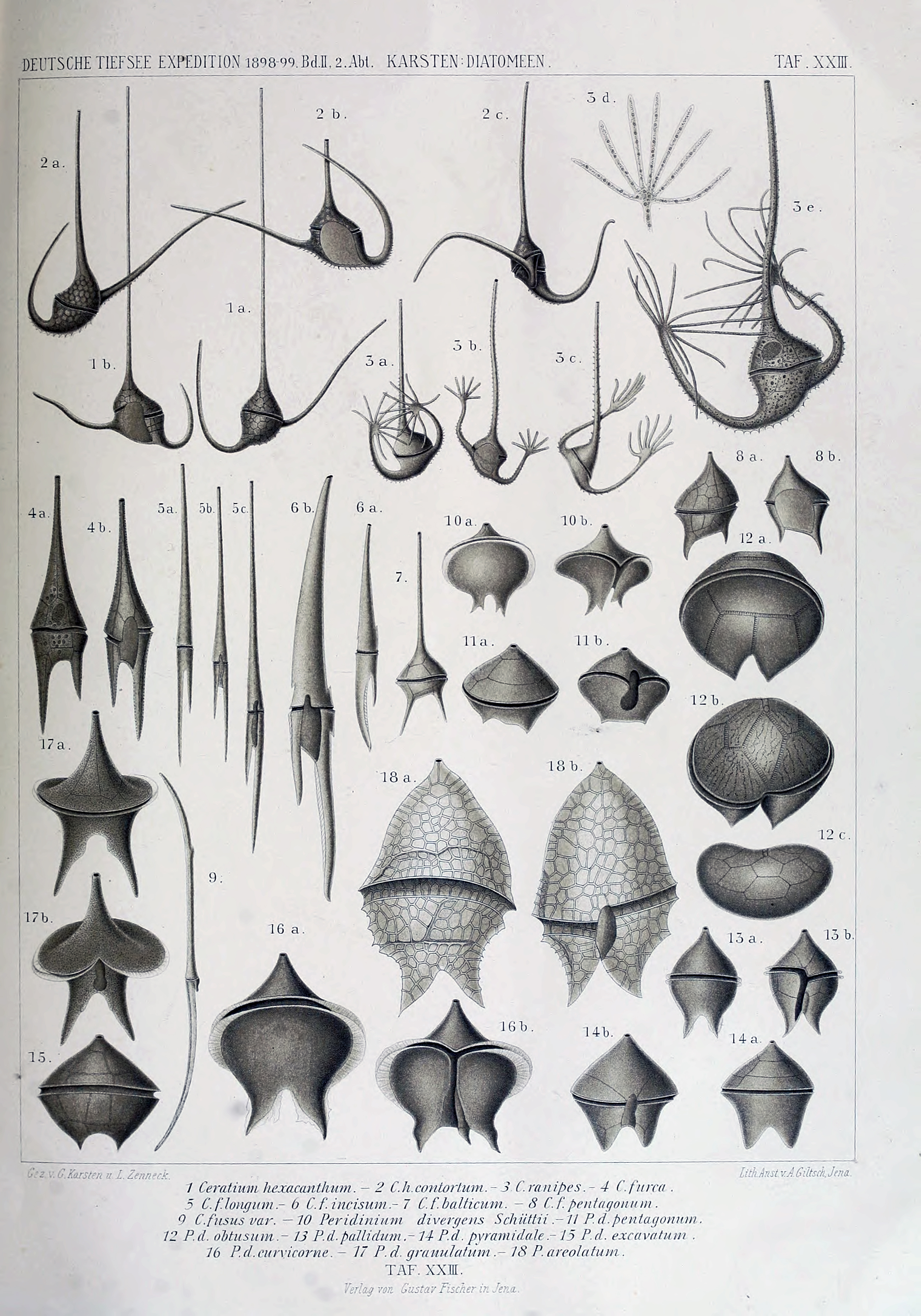 wissenschaftlich22chun_0319