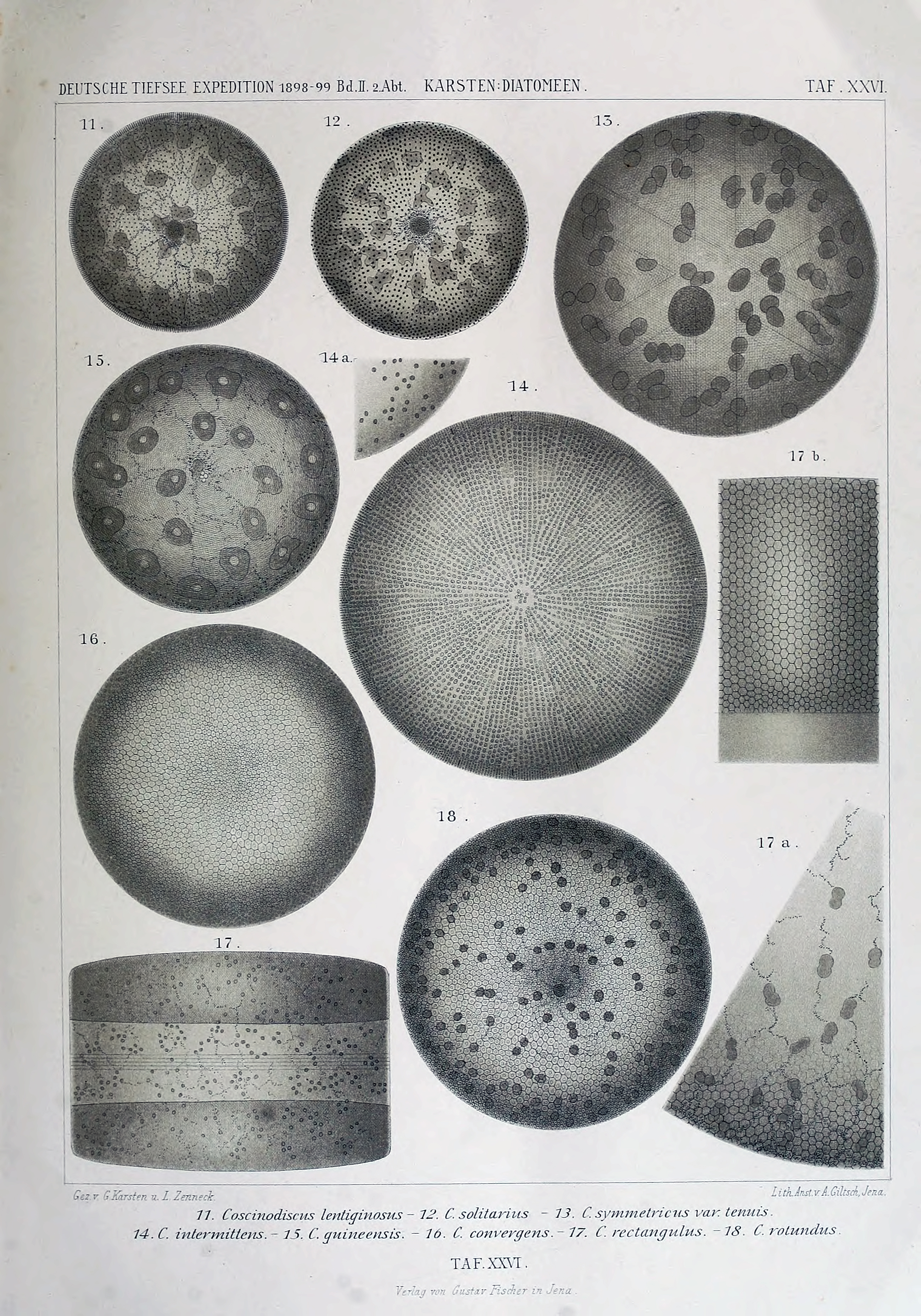 wissenschaftlich22chun_0331