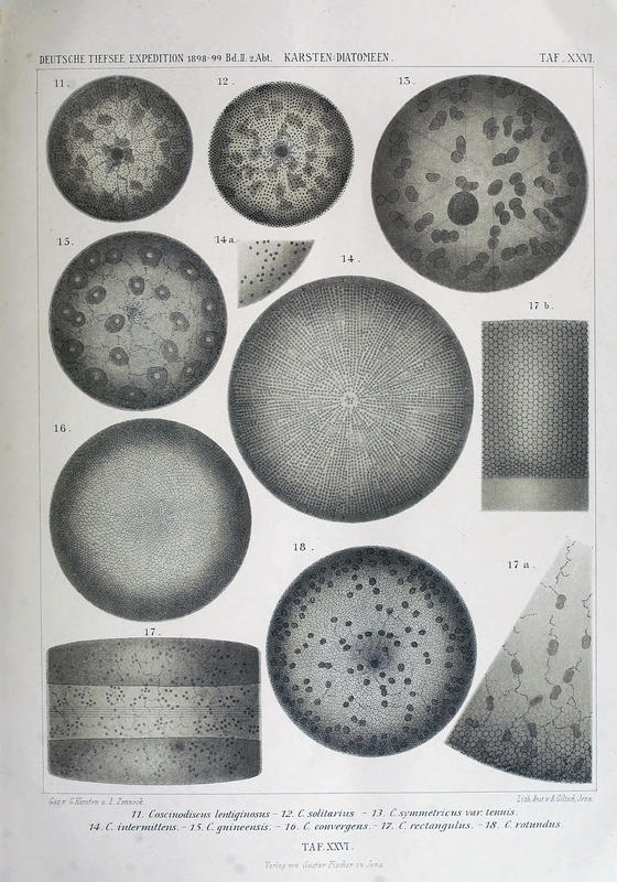 wissenschaftlich22chun_0331