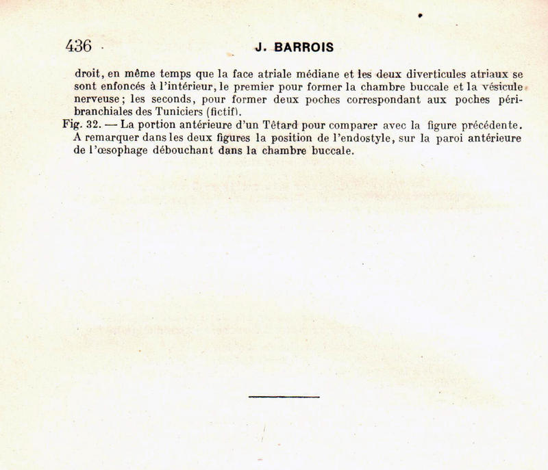 Barroi1924e15