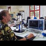 Great Zeiss Dissecting Scope