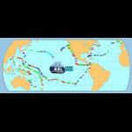 Aquaparadox: the diversity of planktonic microorganisms