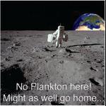 Aquaparadox: the diversity of planktonic microorganisms