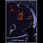 Aquaparadox: the diversity of planktonic microorganisms