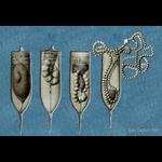 Aquaparadox: the diversity of planktonic microorganisms