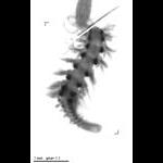 wp220100727_d1_1_563