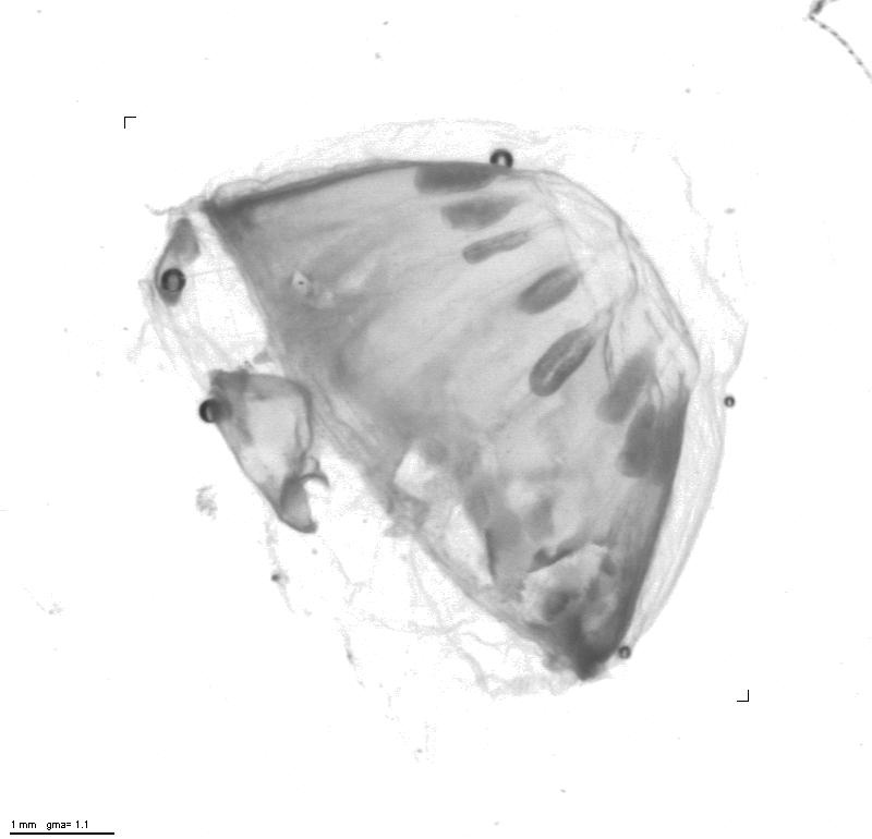 rg20100707_1_41