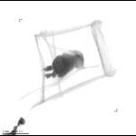 rg20100707_1_488