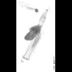 rg20100803_1_17