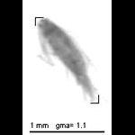 rg20100414_1_500