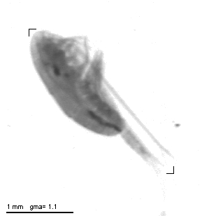 rg20100414_1_602