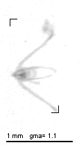 wp220100127_d2_1_285