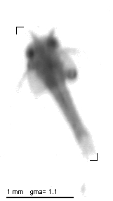 wp220100127_d2_1_686