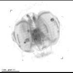 rg20100519_1_30