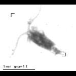 rg20100526_1_403