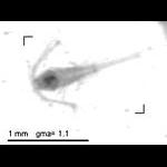 rg20100922_1_320