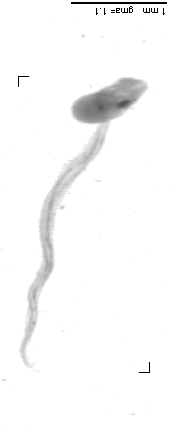 rg20100922_1_145