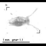 wp220100908_d2_1_20