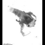 wp220100609_d1_1_535