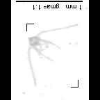 wp220100616_d1_1_653