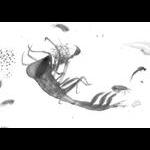rg20100310_1_1358