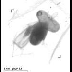 rg20101020_1_447