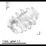 rg20101013_1_303