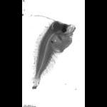 wp220110914_d1_1_259