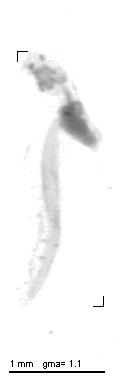 wp220110914_d2_1_668